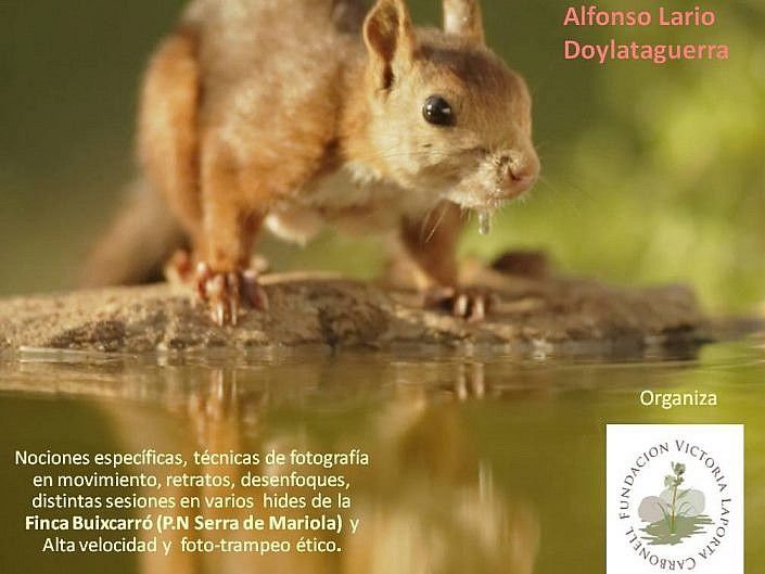 III Taller de Fotografía de Fauna