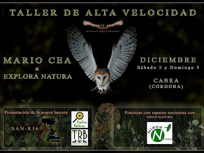 «TALLER DE ALTA VELOCIDAD»