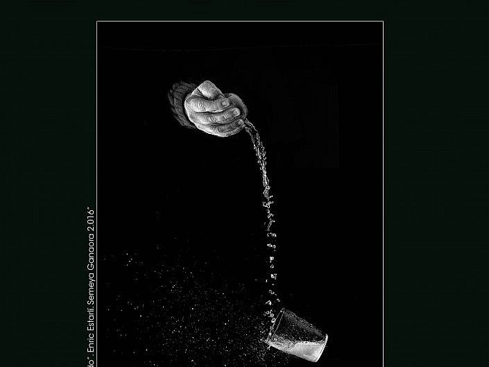 XI CONCURSO DE FOTOGRAFIA LA SIDRA / XI CONCURSU SEMEYES LA SIDRA