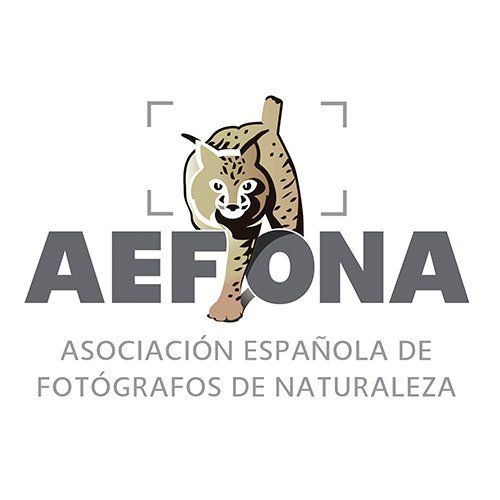 XXV CONGRESO AEFONA