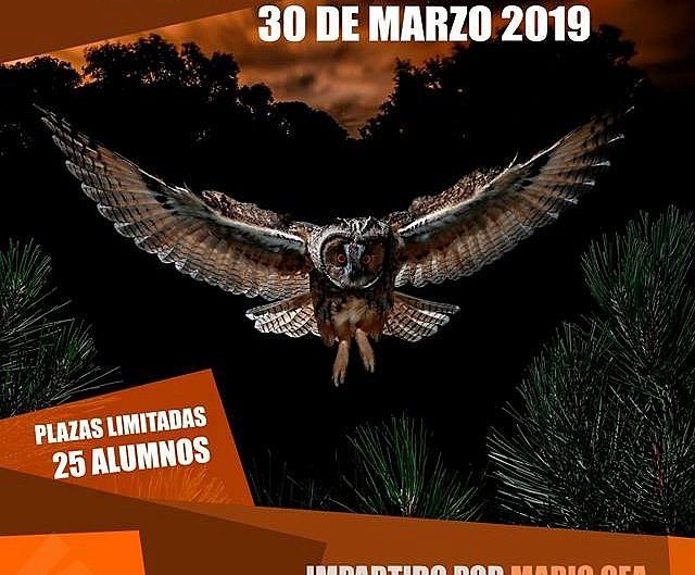 WORKSHOP TÉCNICAS CREATIVAS
