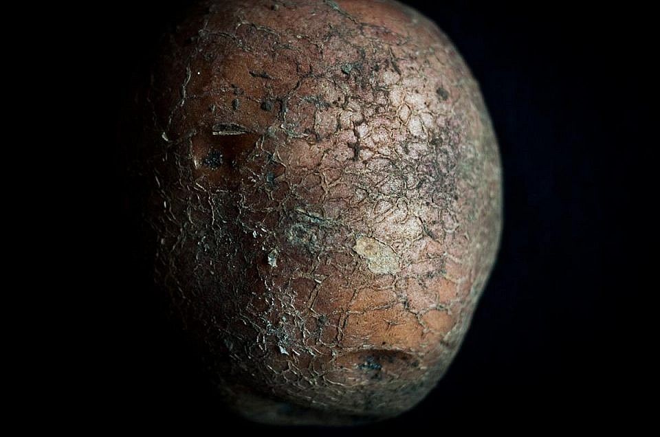 Este es el rostro de los alimentos que matan lentamente