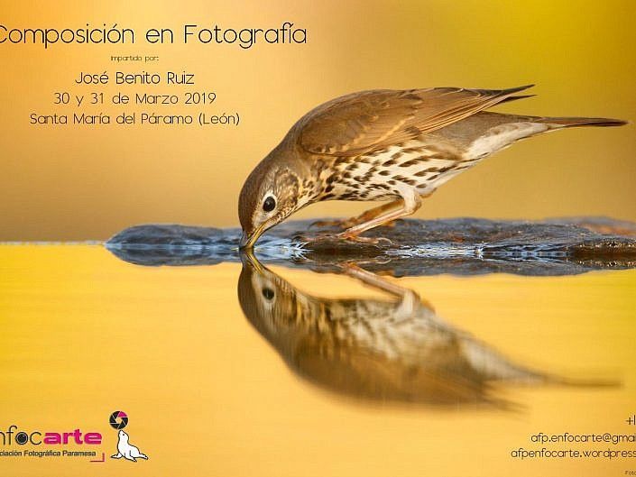 Curso composición en fotografía de José Benito Ruiz