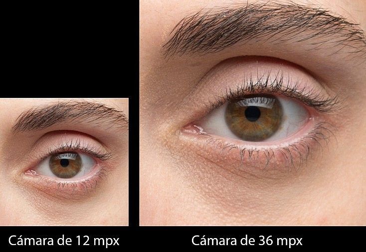 Guía Práctica para Desaprender Fotografía y Cómo Puede Ayudarte a Lograr Mejores Fotos
