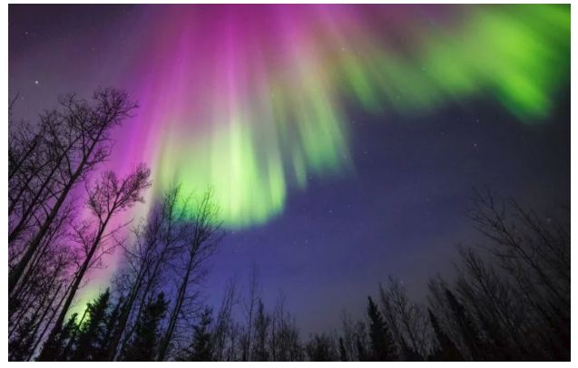 Es temporada de mágicas auroras, ¿dónde viajar a observarlas en directo?